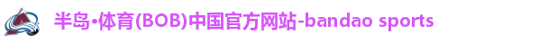 半岛体育bob